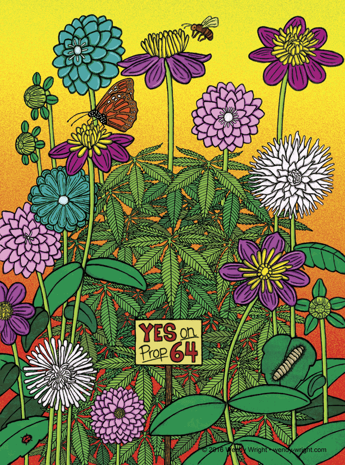 LEGALIZE MARIJUANA PROP 64 CALIFORNIA 2016 WENDY WRIGHT