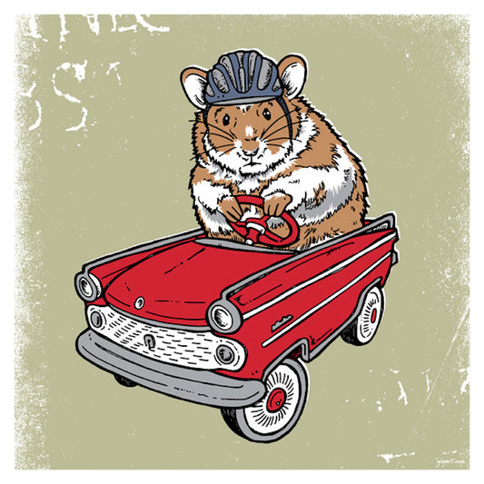 HAMSTER CRITTER CAR GORDON