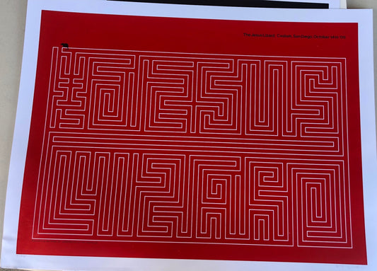 JESUS LIZARD CA 2009 (SCRATCH & DENT)