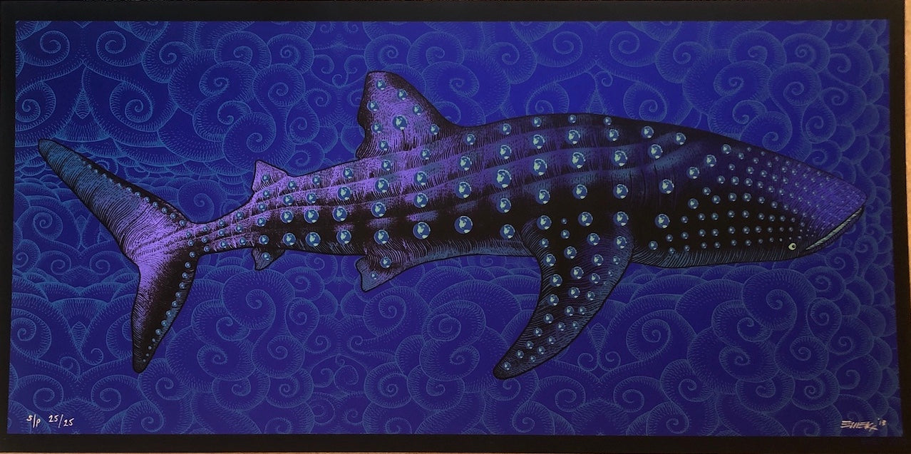 WHALE SHARK 2013 "THERE IS ONLY ONE"